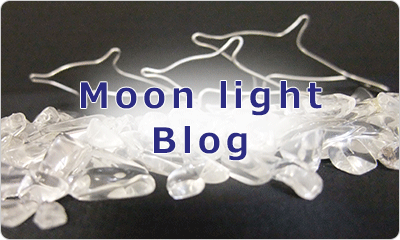 Moon Light Blog